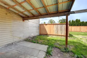 Fanced Back Yard