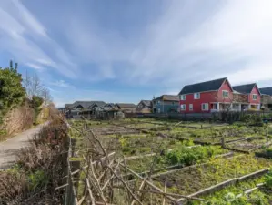 This photo shows one of 2 of the P-Patches in the community. High Point has a weekly Market Garden Farm Stand Wednesdays 4-7pm July-October at this High Point Juneau P-Patch Community Market Gardens. West Seattle also has a year round Farmers Market nearby at the Alaska Junction.