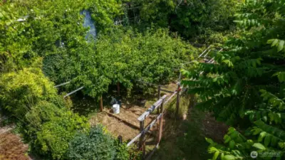 Garden Area