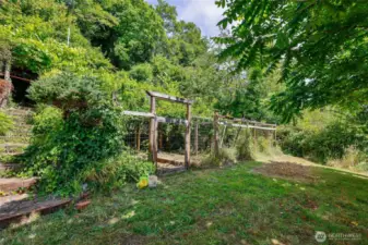Garden Area