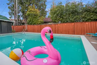 Take your summer BBQs to the next level with a pool party!