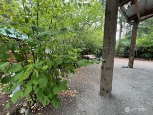 SIDE OF LOT