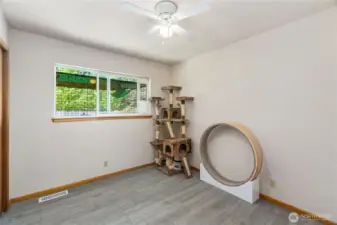 3rd bedroom where cats play