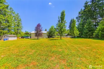 Back Yard behind shop and fence