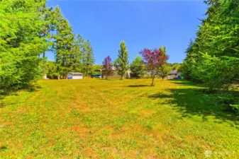 Another view of back yard behind shop