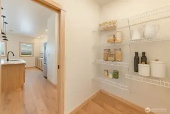 Spacious pantry. Virtually staged. No rack in installed.