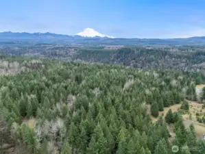 Isn't she so beautiful! This mountain view can be yours from your new home!