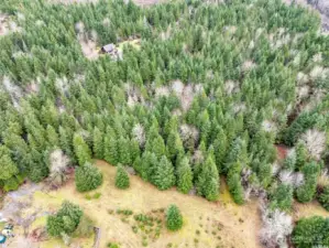 Plenty of cleared area for a possible  home site