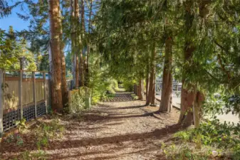 There is a pleasant public path from Madrona to the Town Square @City Hall.