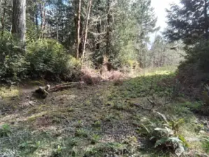 Cleared access area (off Frontier Rd) for easy access to view property