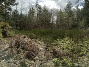 Cleared access area (off Frontier Rd) for easy access to view property