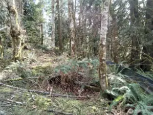 Wetland study complete. This is located on the E Frontier Rd side of the property