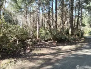 View from E Murray Rd N looking toward the property corner at E Frontier Rd