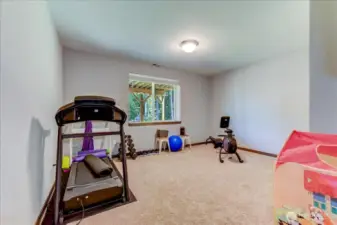 Lower-level flex space w/closet. Currently used for a workout room.