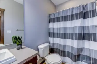 Lower level full bath.