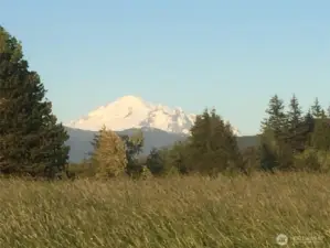 Great view of Mt. Baker from the upper pasture area.  A good-sized home ould be built here with this view and then the craftsman hoem becomes the ADU.  Access road should be the shared easement on the west side of the property that also gives access to the Lot 2.