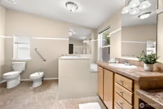 The private ensuite bath features a walk-in tub and bidet. Skylight and large window that fill the space with natural light.