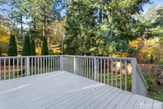 Step from the dining area onto the entertaining sized deck and out into the backyard