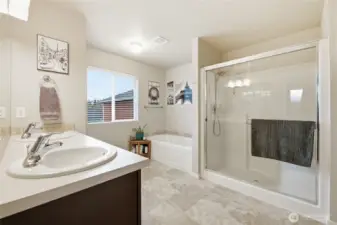 Primary en-suite with walk-in shower and bath