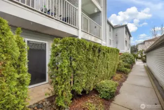 Back patio exterior shot