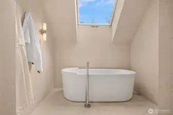 Fabulous tub...with a skylight of course