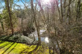 Tranquil Coal Creek