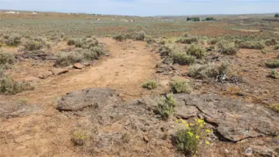 Trail out to the end of the UPPER part of the lot