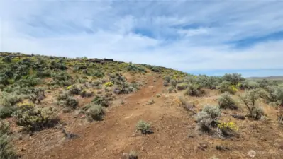 Lower part of the lot - trail leads up to the upper lot. Or you can drive around.