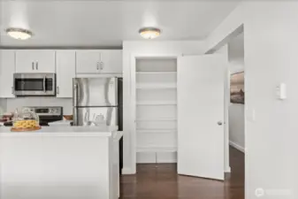 Pantry view.