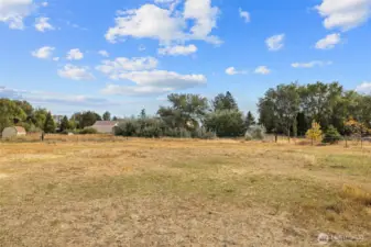 East pasture