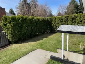 A well established hedge forms part of the back yard fencing, increasing the privacy of the back yard.