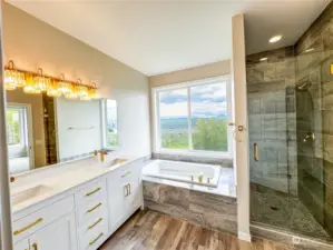 Newly updated Primary bath with Tub/Shower