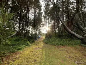 Property Walkway towards beach