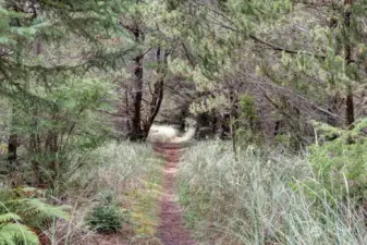 Property Walkway towards beach