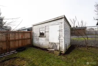 Chicken coop / Shed - door for chickens on right side