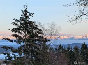 That's a view of the Olympics a person could get used to.