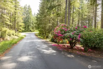Michelle Drive is a dead end street leading into a culdesac