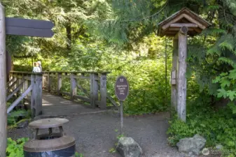 one of the walking trails