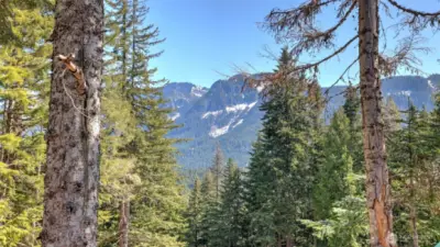 Pacific Northwest at it's finest.