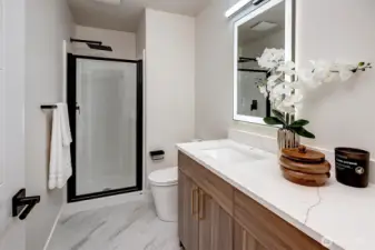Jack and Jill style bathroom on ground level with rainhead shower.
