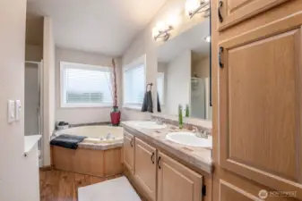 Soaking tub, walk-in shower, double sinks, substantial storage AND a walk-in closet in the owner's suite!