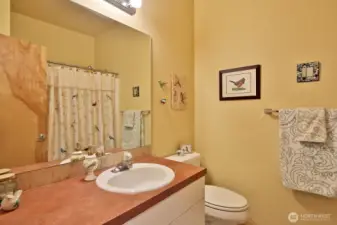 Full guest bath has a tub.