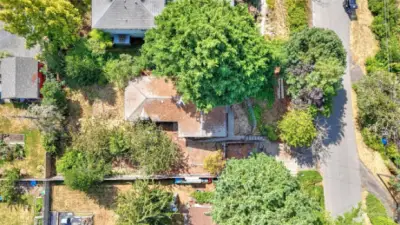 Aerial view of the home sitting on a quiet street tucked amongst trees on an .21 acre lot with detached garage and possibility to add an ADU.