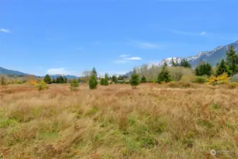 View from potential building site that has been cleared.