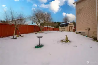 Large backyard includes fruit trees: cherry, peach, and plum.