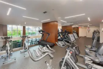 Lower & Upper Gym w/Wet & Dry Saunas, Spa & Locker Rooms