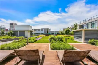 Park Terrace