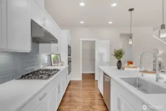 Gas range + large walk-in pantry off the kitchen.