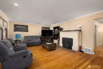 Fireplace insert is wood burning. Chimney was cleaned and refurbished in the last 2-3 years.