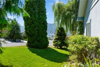 Side yard by the street